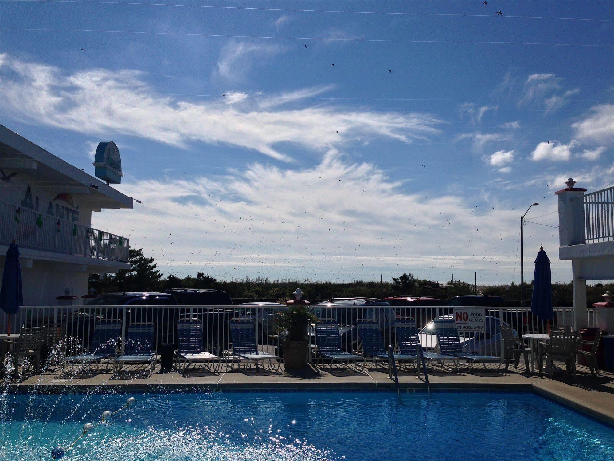 Alante Oceanfront Motor Hotel North Wildwood Ngoại thất bức ảnh